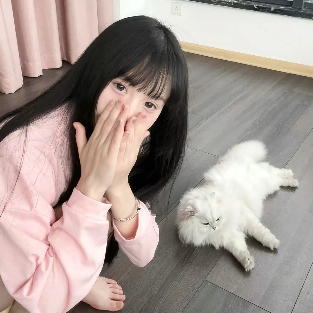 马克辛的归来
