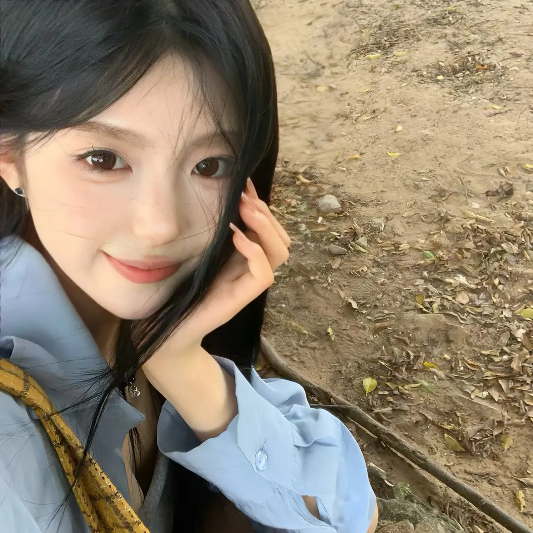 晴晚之林